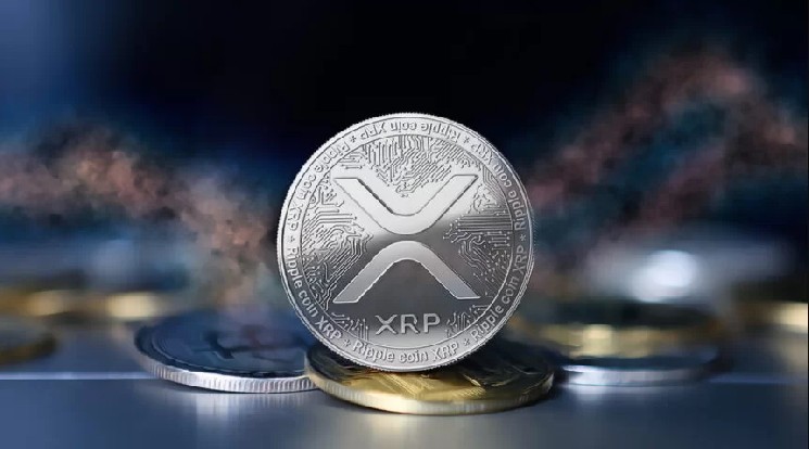 На Уолл-стрит обрушился шторм XRP: вот крупные игроки, владеющие XRP — Крипто Новости