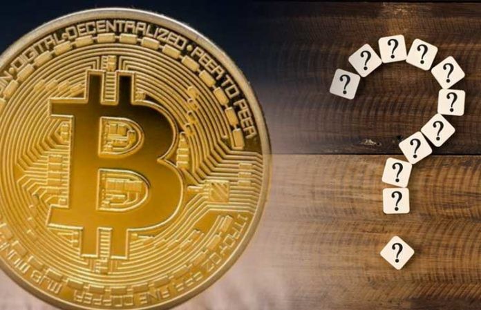 Опубликован список самых популярных криптовалют! В него вошли биткоин (BTC) и пять альткоинов! — Крипто Новости