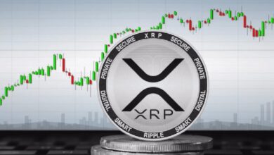 SEC против Ripple: последнее решение может стать решающим — Крипто Новости