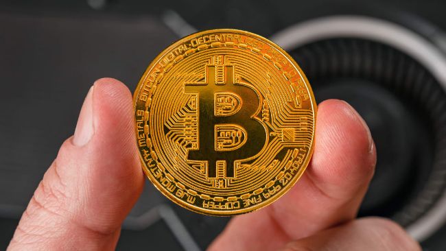 Стало известно количество биткоинов у крупных инвесторов — Крипто Новости