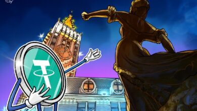 Tether при поддержке правительства Грузии запустит стейблкоин GEL с привязкой к лари — Крипто Новости