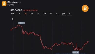 Трейдеры вернули курс биткоина выше отметки в 73 000 долларов после волны ликвидаций на сумму 352 млн долларов — Крипто Новости