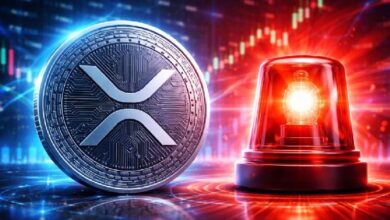 Внимание инвесторам XRP! Бывший технический директор Ripple Дэвид Шварц предупреждает: «Опасность серьезная и существенная!» — Крипто Новости