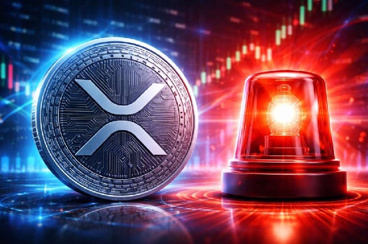 Внимание инвесторам XRP! Бывший технический директор Ripple Дэвид Шварц предупреждает: «Опасность серьезная и существенная!» — Крипто Новости