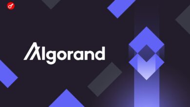 Algorand готовится к квантовой эре: блокчейн объявил масштабное обновление безопасности до 2027 года — Крипто Новости