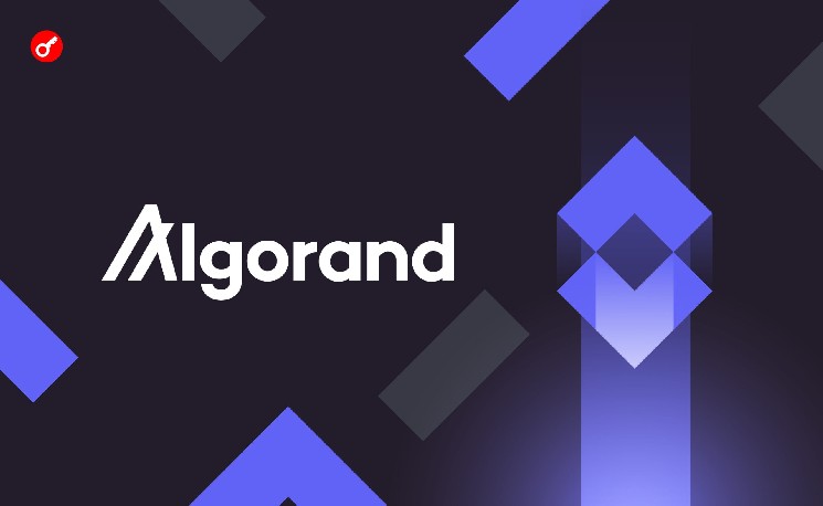 Algorand готовится к квантовой эре: блокчейн объявил масштабное обновление безопасности до 2027 года — Крипто Новости