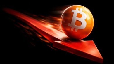 Биткоину грозит падение до 55 000 долларов, в то время как аналитик подтверждает прогноз в 100 000 долларов — Крипто Новости