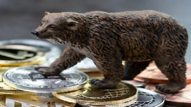 Bitwise: Биткоин достиг локального дна — Крипто Новости