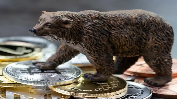 Bitwise: Биткоин достиг локального дна — Крипто Новости
