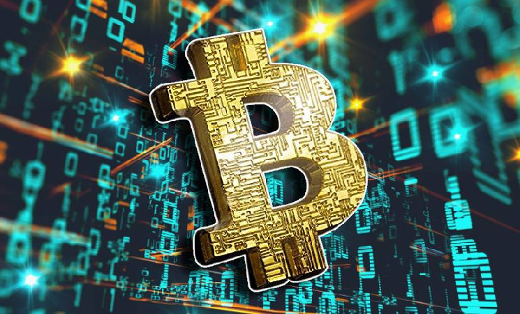 Эксперт назвал биткоин коллекционным активом — Крипто Новости