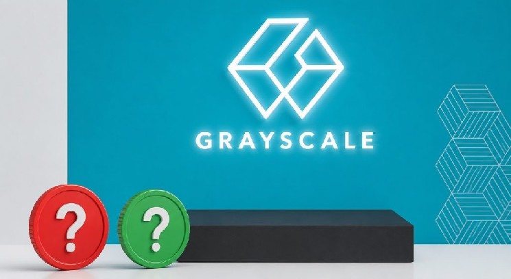 Компания Grayscale выявила 15 альткоинов, которые, по её утверждению, недооценены! Вот этот список — Крипто Новости