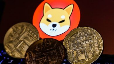 На продажу выставлена молодая, ставшая легендой породы сиба-ину: она составляет значительную часть предложения — Крипто Новости