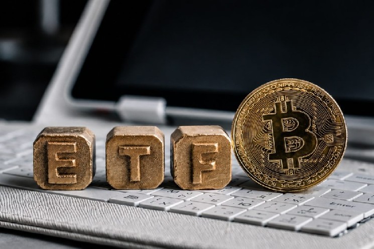 Руководитель компании Trezor утверждает, что спотовые ETF на биткоин и альткоины представляют долгосрочные риски — Крипто Новости