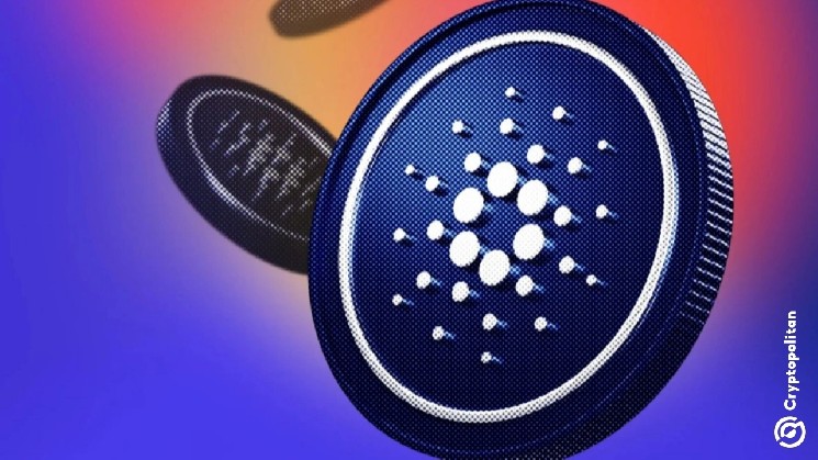 Самый серьёзный кризис с кошельками Cardano? Пользователи теряют 16 миллионов ADA &mdash; Крипто Новости