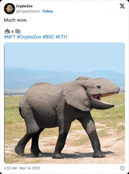 Техасский судья поддержал попытку Логана Пола избежать иска по делу CryptoZoo — Крипто Новости