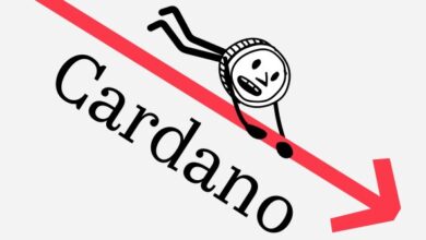 Токен Cardano откатился на пять лет назад и выпал из списка лидеров — Крипто Новости