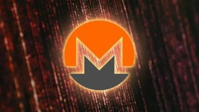 В Monero нашли лишающую майнеров выплат уязвимость — Крипто Новости