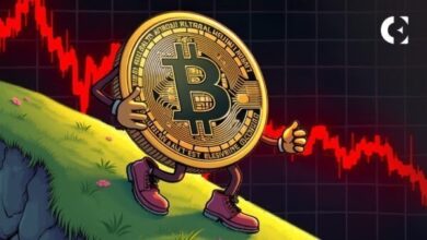 VanEck отмечает рост волатильности биткоина и снижение данных в блокчейне — Крипто Новости