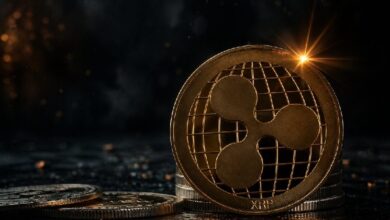 Значительные изменения в оттоке XRP с бирж: увеличение! Что это значит? — Крипто Новости