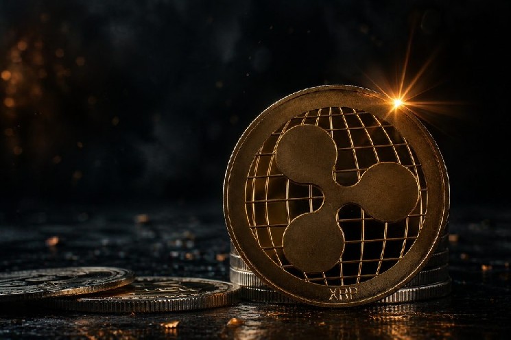 Значительные изменения в оттоке XRP с бирж: увеличение! Что это значит? — Крипто Новости
