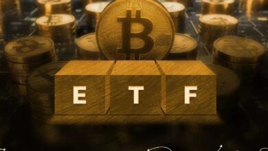 Американские университеты нарастили позиции в биткоин-фондах — Крипто Новости