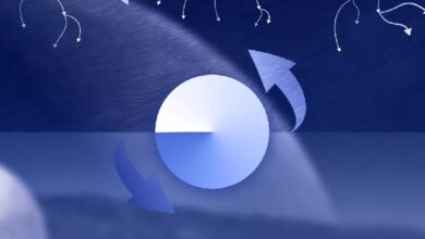 Base активирует стандарт B20 для выпуска нативных токенов — Крипто Новости