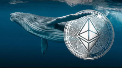 Крупный инвестор в Ethereum продолжает скупать криптовалюту, совершив крупные покупки этой монеты наряду с ETH! Вот подробности — Крипто Новости