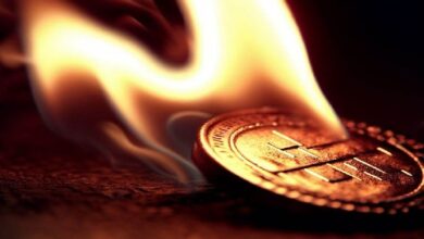 Сегодня одна из альткоин-платформ объявила о сжигании токенов на сумму почти в миллиард долларов — Крипто Новости