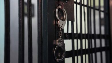 Шаткое «Благополучие»: организатора финансовой пирамиды отправили в колонию на 12 лет — Крипто Новости