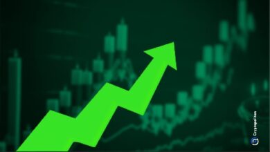 Утечка сид-фразы подтолкнула MemeCoin к отметке в 14 миллионов долларов, выявив риски копирования сделок в криптовалюте — Крипто Новости