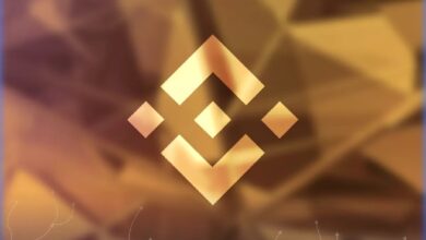 В Binance указали на трансформацию ландшафта стейблкоинов — Крипто Новости