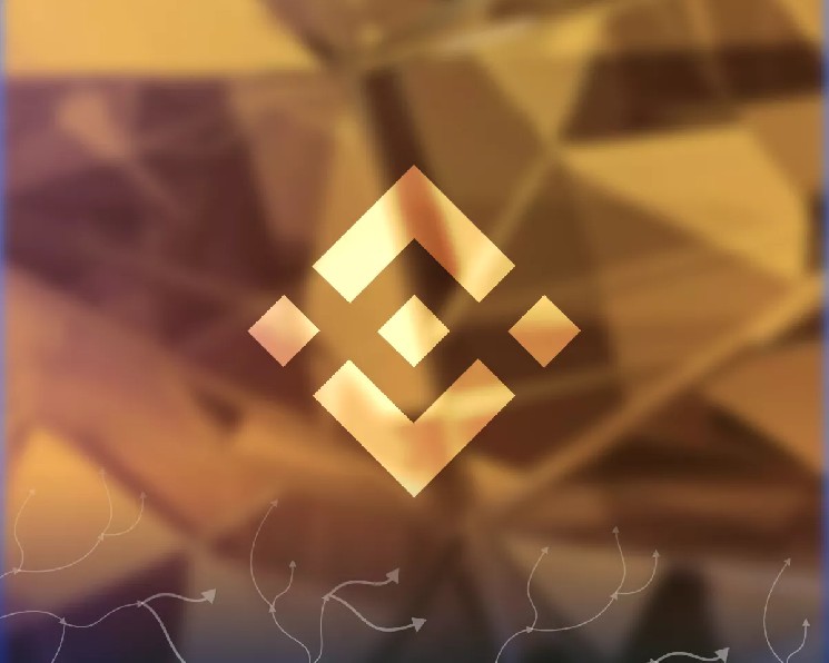 В Binance указали на трансформацию ландшафта стейблкоинов — Крипто Новости