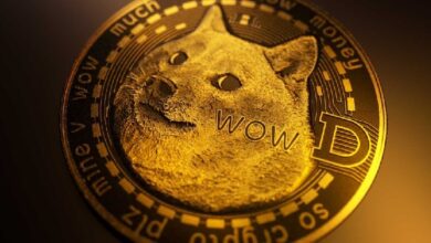 Владелец собаки, символизирующей Dogecoin, высказался о другом альткоине: «Он не имеет к нам никакого отношения» — Крипто Новости