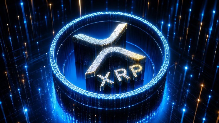 Бывший технический директор Ripple Дэвид Шварц сделал признание об XRP! Он рассказал, сколько XRP у него еще осталось! — Крипто Новости