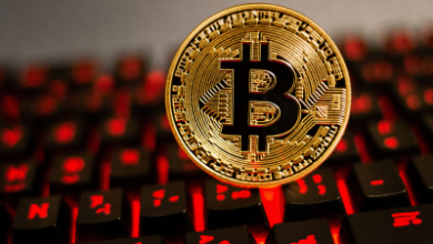 Цена биткоина может достичь 1,3 млн долларов США: Мэтт Хоуган из Bitwise ждет триллионы институциональных денег — Крипто Новости
