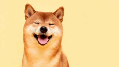 Dogecoin подшутил над «Человеком-пауком»: мемкоину нужны еще 11 таких премьер — Крипто Новости