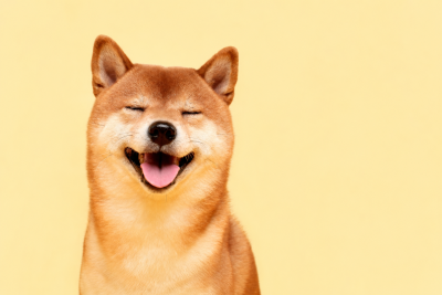 Dogecoin подшутил над «Человеком-пауком»: мемкоину нужны еще 11 таких премьер — Крипто Новости