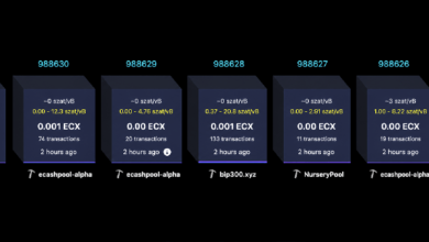 Форк биткоина ECX, созданный Полом Шторцем, преодолел отметку в 25 000 блоков всего за 13 часов — Крипто Новости