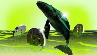 Как перевод 20 000 биткоинов повлияет на цену BTC — Крипто Новости
