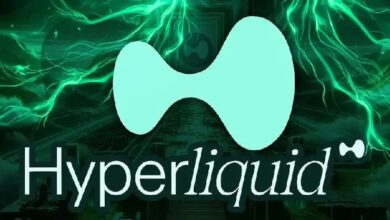 Крупный криптоинвестор вывел из стейкинга HYPE на  млн — Крипто Новости