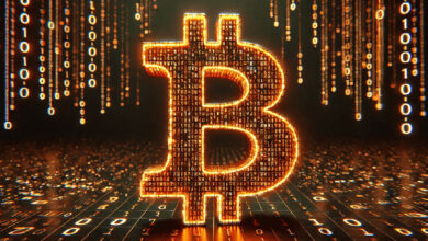 Последний миллион биткоинов: рубеж в 20 миллионов BTC будет достигнут до халвинга 2028 года — Крипто Новости