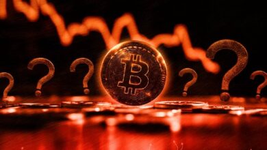 Разработчик указал на риск потери биткоинов из-за BIP-110 — Крипто Новости