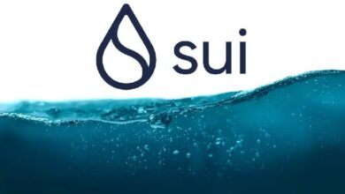 Сеть Sui Blockchain представляет новую функцию инфраструктуры, ориентированную на конфиденциальность! Вот подробности — Крипто Новости
