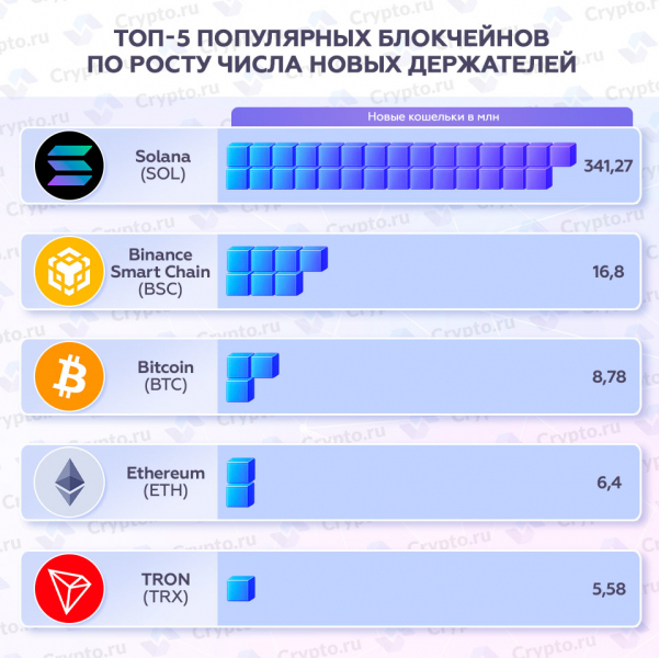 Топ-5 популярных блокчейнов по росту числа новых держателей — Крипто Новости