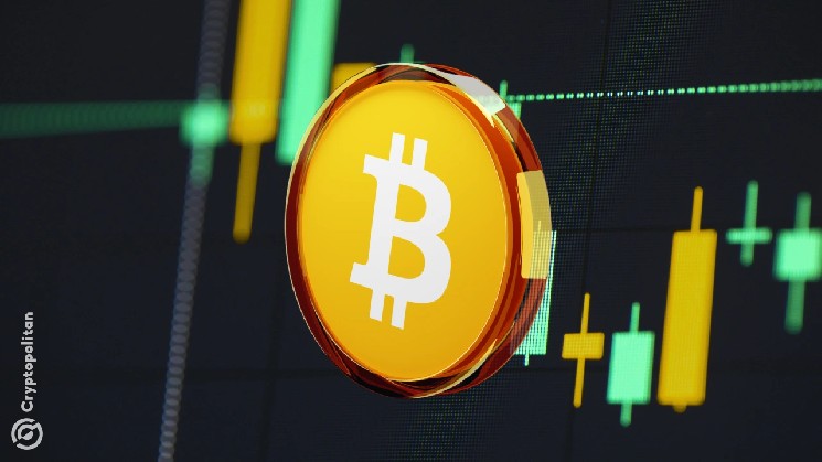 В прямом эфире: Bitcoin внезапно достиг отметки в 75 000 долларов — Крипто Новости