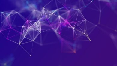 Вайоминг перевел FRNT с LayerZero на Chainlink CCIP — Крипто Новости