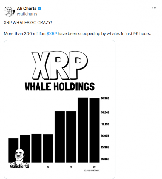 За несколько дней XRP-киты скупили более 300 млн токенов — Крипто Новости