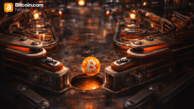 Биткойн снова готовится к падению? BTC тестирует критический уровень поддержки в 65,5 тыс. долларов — Крипто Новости