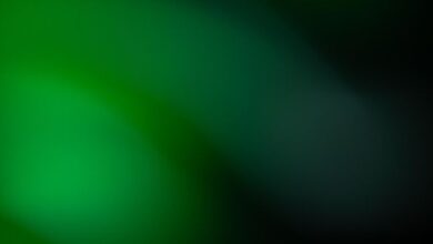 BVNK добавила Stellar в платформу для стейблкоин-платежей — Крипто Новости