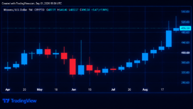 Цены на Zcash и Monero стремительно растут на фоне бурного роста рынка криптовалют, обеспечивающих конфиденциальность — Крипто Новости